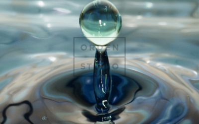 El Zen y el arte de la Organización