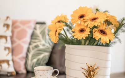 Descarga el planificador semanal del Orden Studio