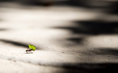 6 recomendaciones para mantenerte firme ante tu decisión de cambio