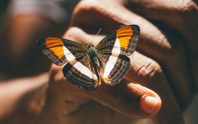 10 preguntas que puedes hacerte cuando te cuesta trabajo soltar