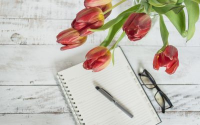 Beneficios de contar con un calendario de orden y limpieza para el hogar