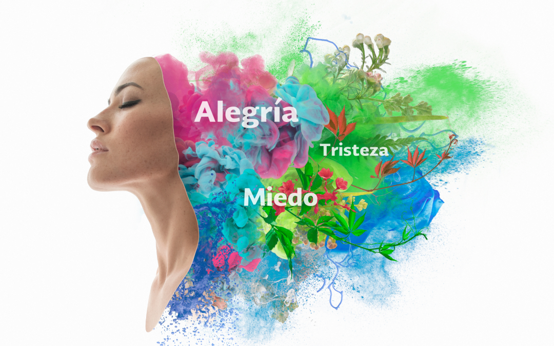 Reconocer tus emociones: El primer paso hacia el autodescubrimiento