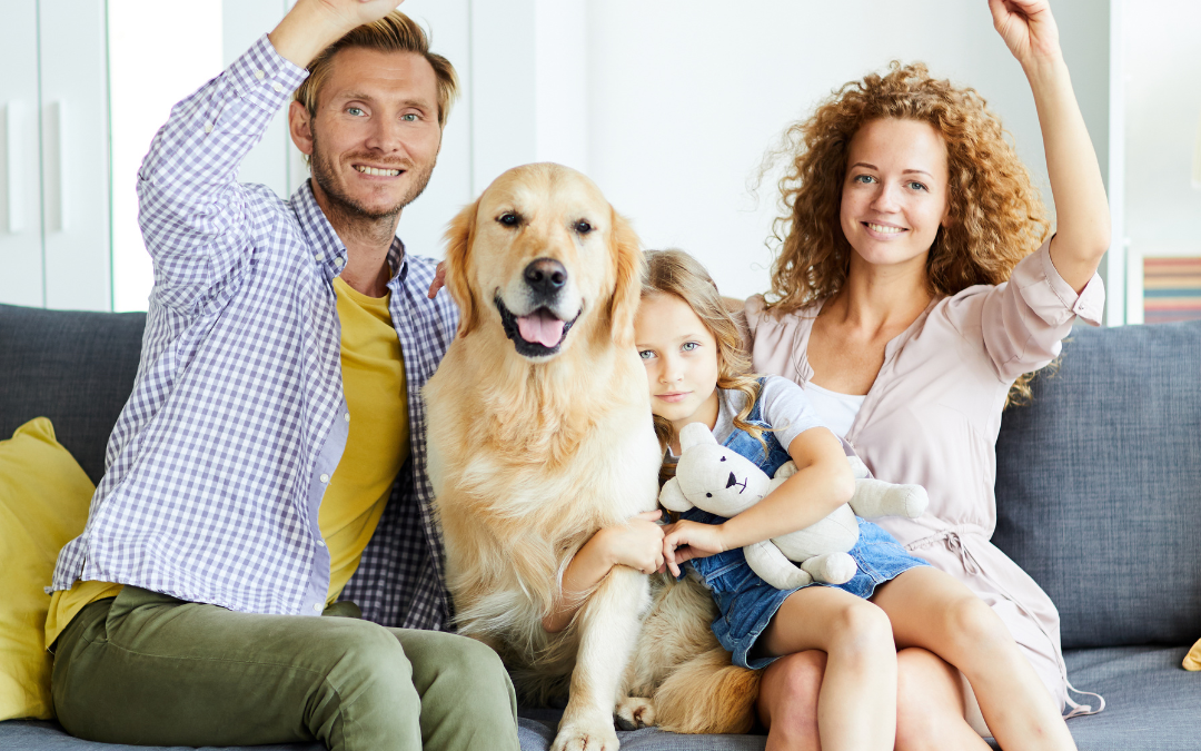 Convierte tu hogar en tu refugio: claves para sentirte segura y conectada